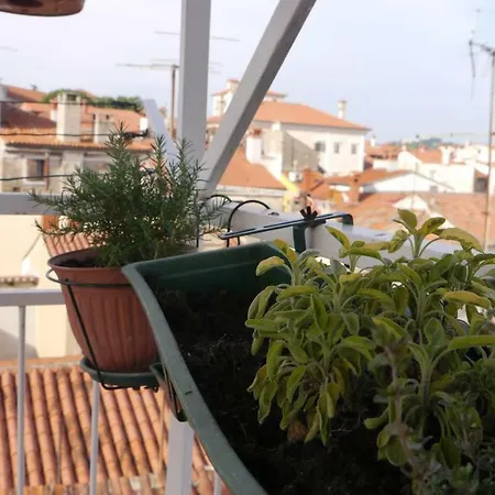 Apartment 10 Veliki Trg Izola