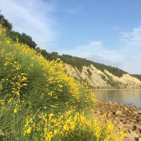 10 Veliki Trg